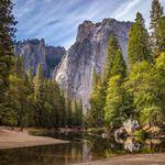 Elisabeth Sipes Profile Picture