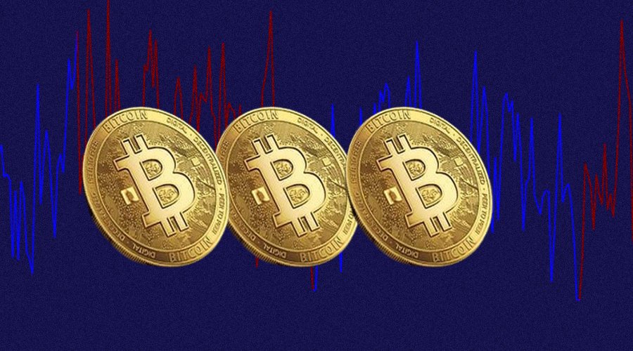 How Google Search Trends Influences Bitcoin Price Fluctuations?