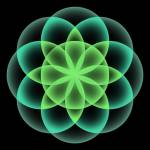 Bryan Feinberg Profile Picture