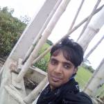 Saurav Ray Profile Picture