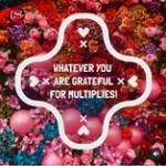 Anisa Noor Profile Picture