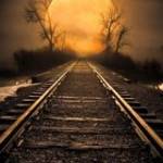 Nida Waqas Profile Picture