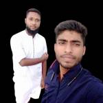 Md Abdul Alim Profile Picture