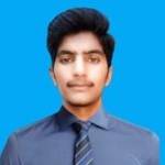 Ali Hamza Bhatti Profile Picture