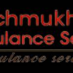 Panchmukhi Air Ambulance Profile Picture