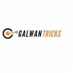 Galwan Tricks Profile Picture