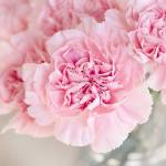 Christ Jerry Profile Picture