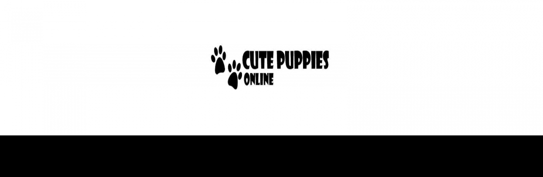 cs puppies LLC Cover Image
