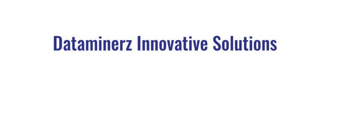 Dataminerz Innovative Solutions Cover Image