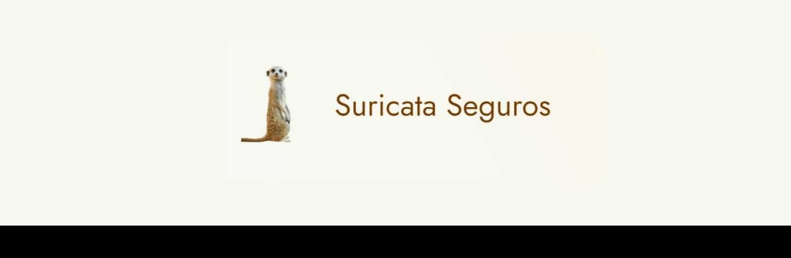 Suricata Seguros Cover Image