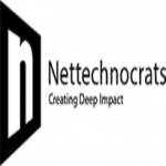Nettechnocrats IT Services PVT LTD Profile Picture