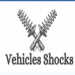 Vehicle shocks Profile Picture