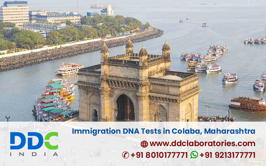 Immigration DNA Tests in Colaba - DDC Laboratories India