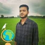 Mohammad Faysal Profile Picture