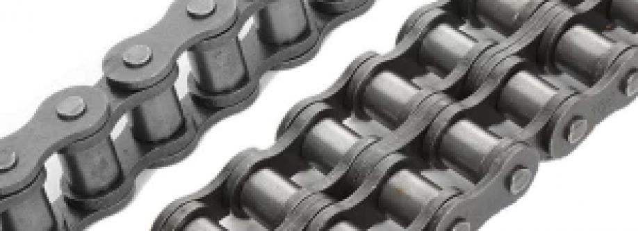 China rollerchain Cover Image