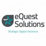 Ankit eQuest Solutions Profile Picture