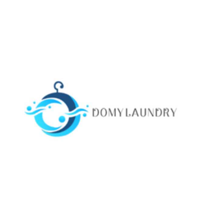 domy laundry Profile Picture