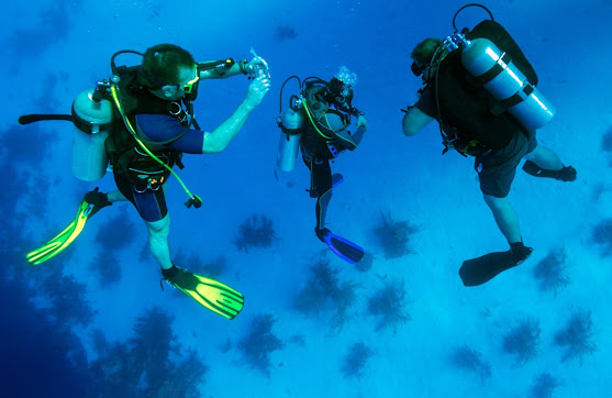 Understanding the Equipment in Your Beginning Diving Course