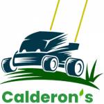 calderon landscaping Profile Picture