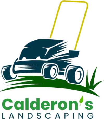 calderon landscaping Profile Picture