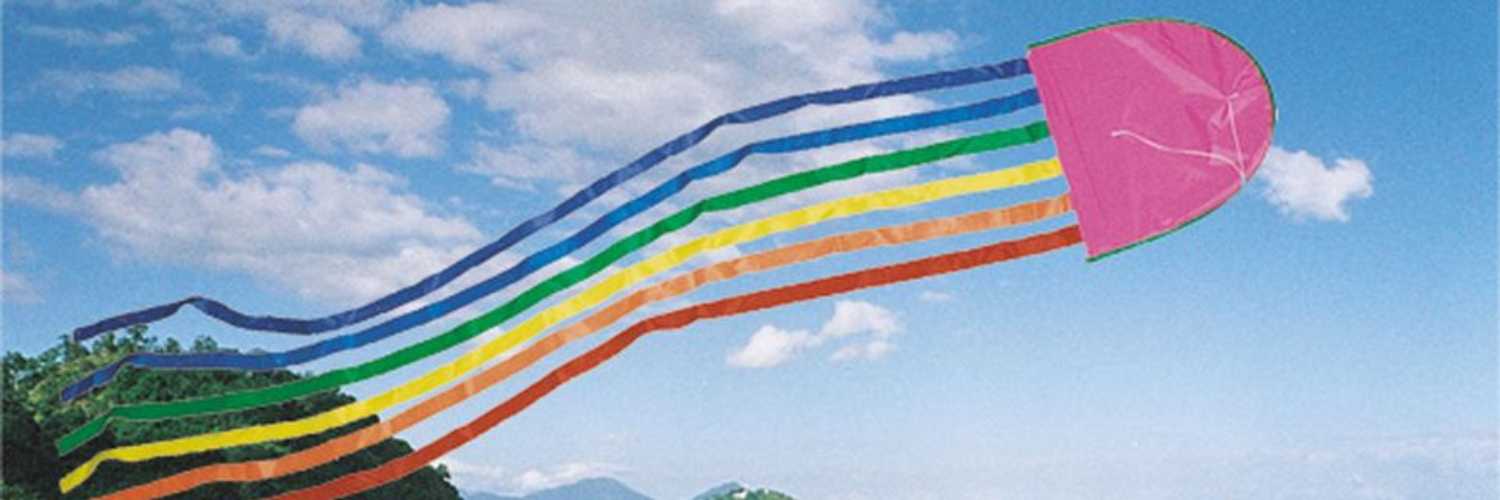 Leading Edge Kites
