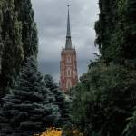 Champlain Smiles Inc Profile Picture