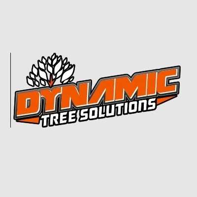 DYNAMIC TREE SOLUTIONS Profile Picture