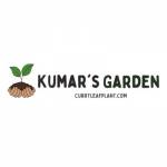 KUMARS GARDEN CURRY LEAF PLANTS Profile Picture
