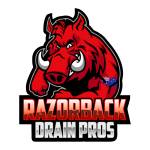 Razorback Drain Pros Profile Picture
