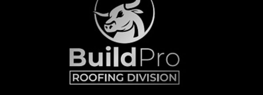 BuildPro Roofing Company Cover Image