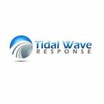 Tidal Wave Response Profile Picture