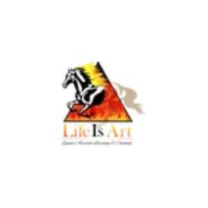 LifeIsArt Equine Assisted Learning Profile Picture