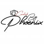 Curated by Phoenix Profile Picture