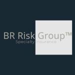 BR Risk Group Specialty Insurance Profile Picture